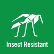 Insect Resistance